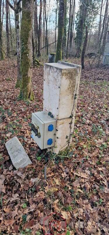 Terrain à NOUAN-LE-FUZELIER