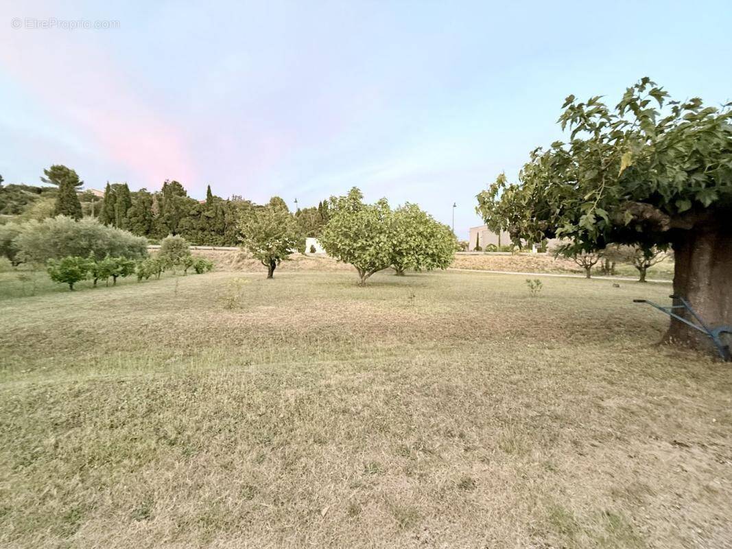 Terrain à VACQUEYRAS