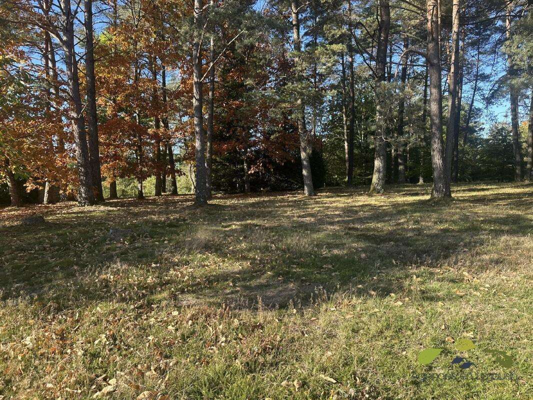 Maison à PEYRAT-LE-CHATEAU