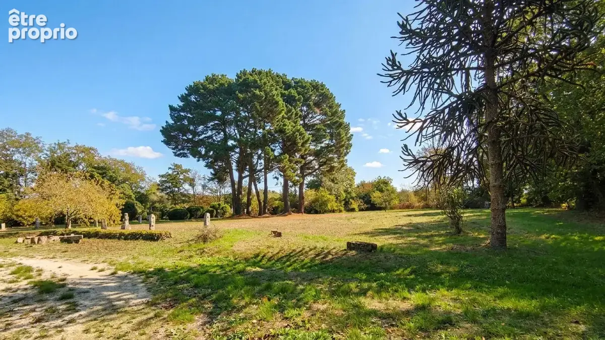 Trégunc - maison 5 chambres, environnement boisé, 2 hect de terrain - photo 18