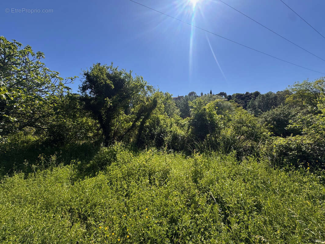 Terrain à PUYMERAS