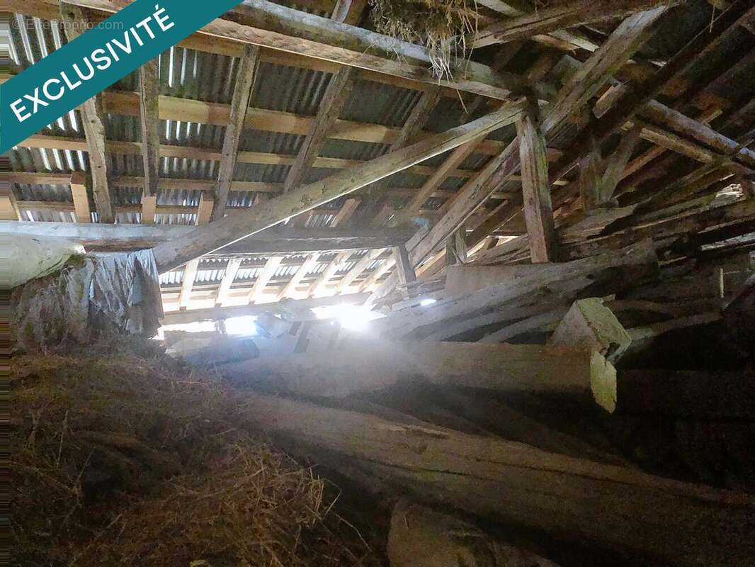 Photo 4 - Maison à MACOT-LA-PLAGNE