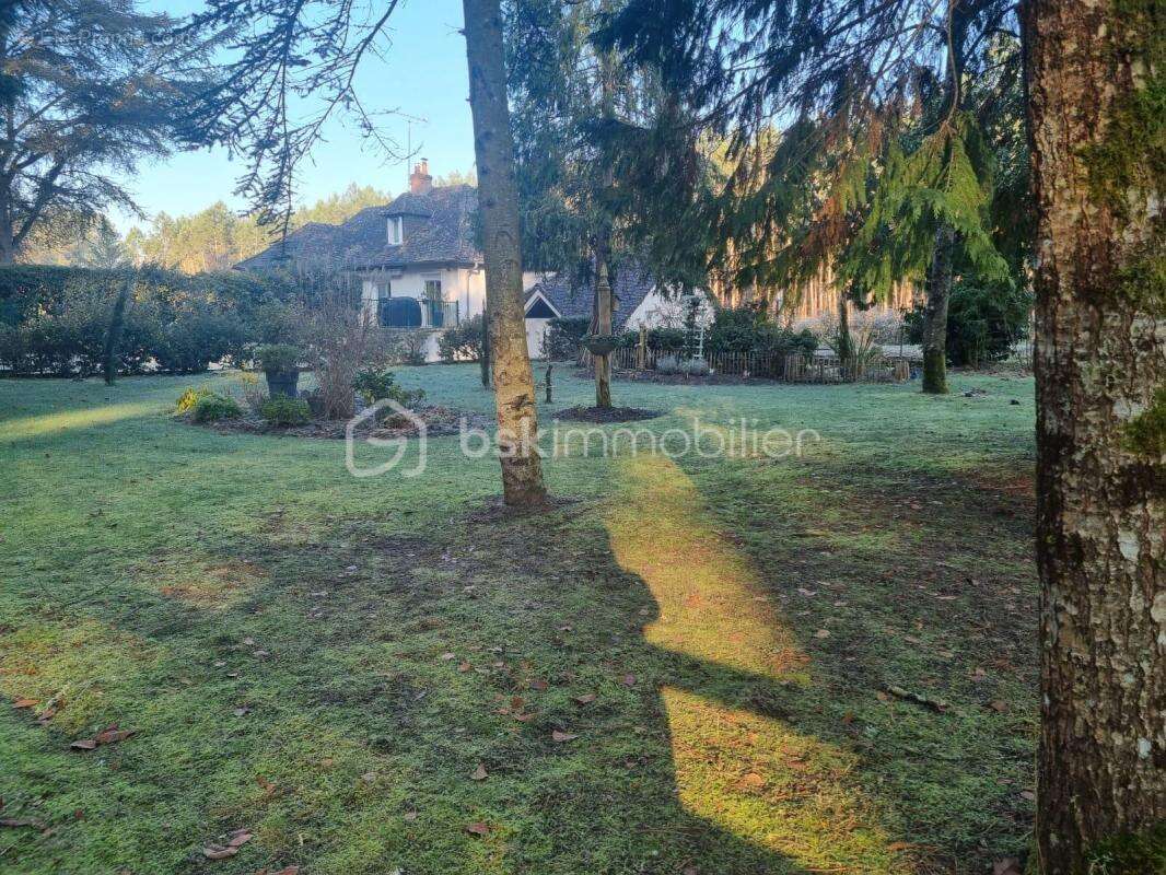 Maison à ARDENAY-SUR-MERIZE