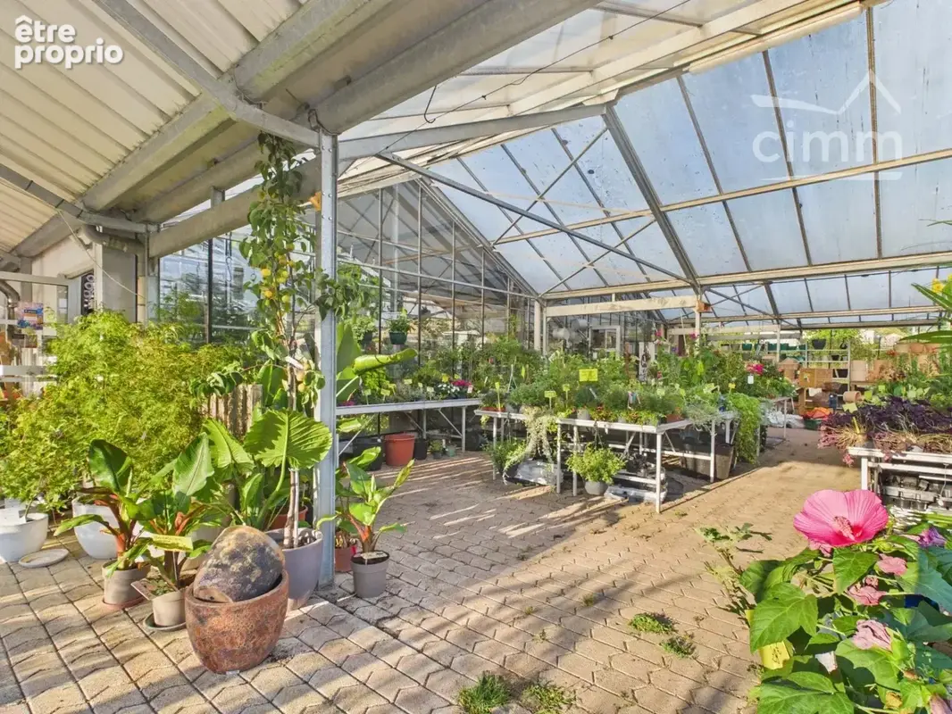 Jardinerie / Pépinière – Murs et Fonds de commerce – Sud Ardèche - photo 12