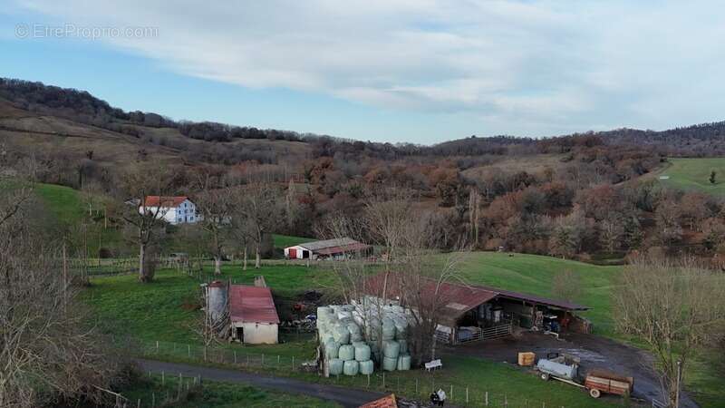 Maison à LARCEVEAU-ARROS-CIBITS