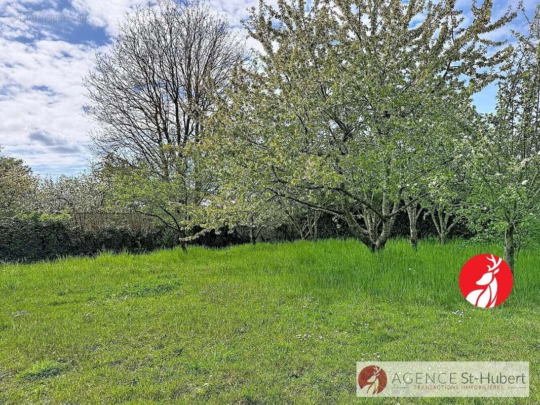 Maison à CHAILLY-EN-BIERE