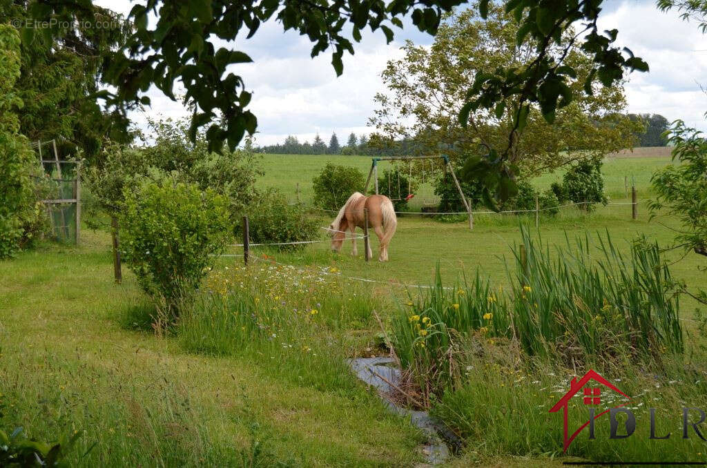 Maison à BELLEFONTAINE