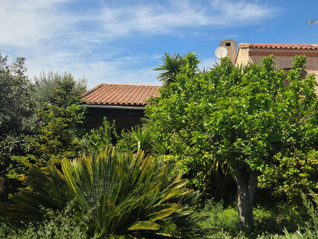 Maison à MARIGNANE