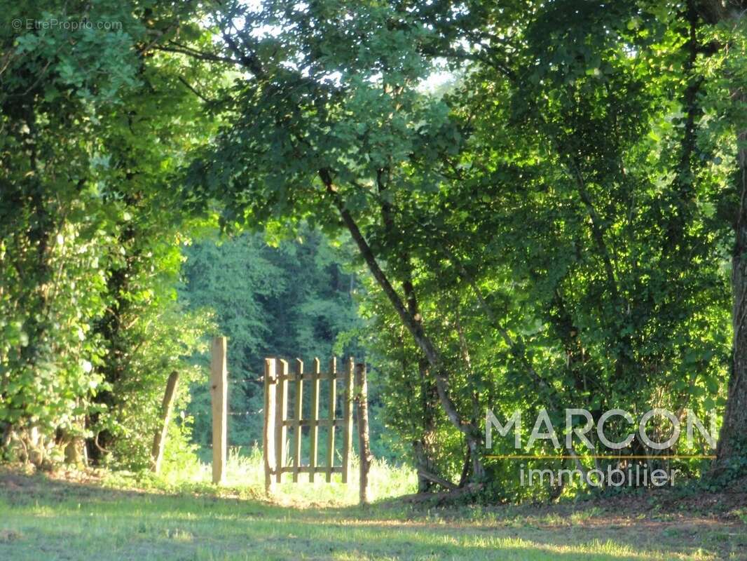 Maison à MAISON-FEYNE