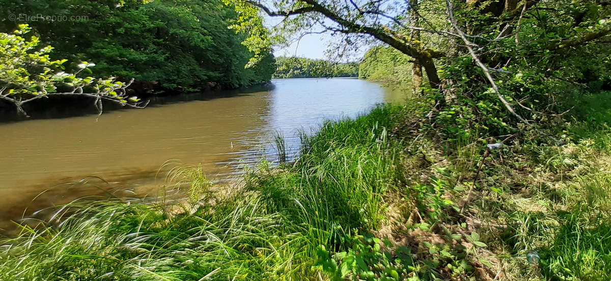 Terrain à PLOMBIERES-LES-BAINS
