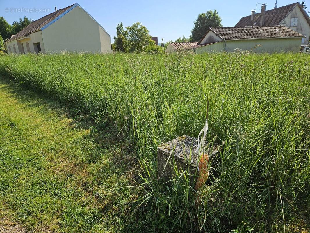 Terrain à VILLENAUXE-LA-GRANDE