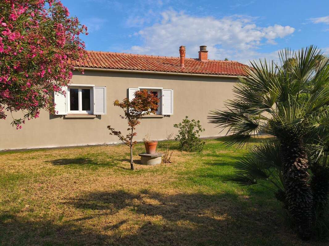 Photo 8 - Maison à BORGO
