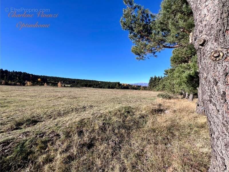 Maison à SAINT-PIERRE-DELS-FORCATS