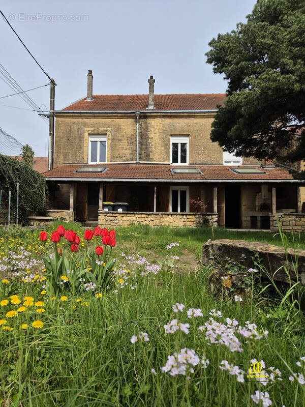 Maison à SAPOGNE-ET-FEUCHERES