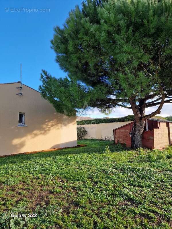 Maison à NUAILLE-D'AUNIS