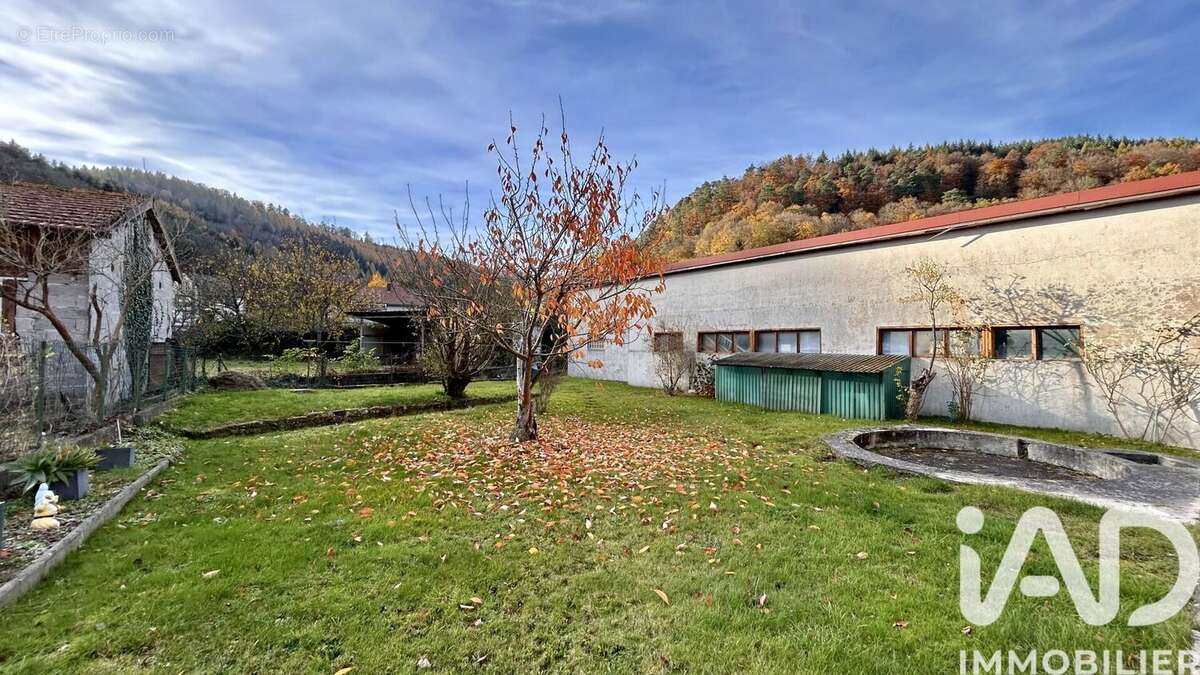 Photo 7 - Appartement à LUTZELBOURG