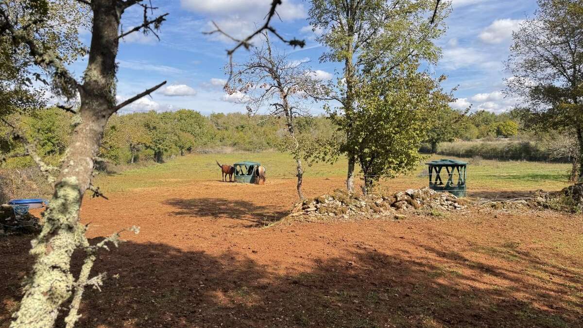 Maison à PROMILHANES