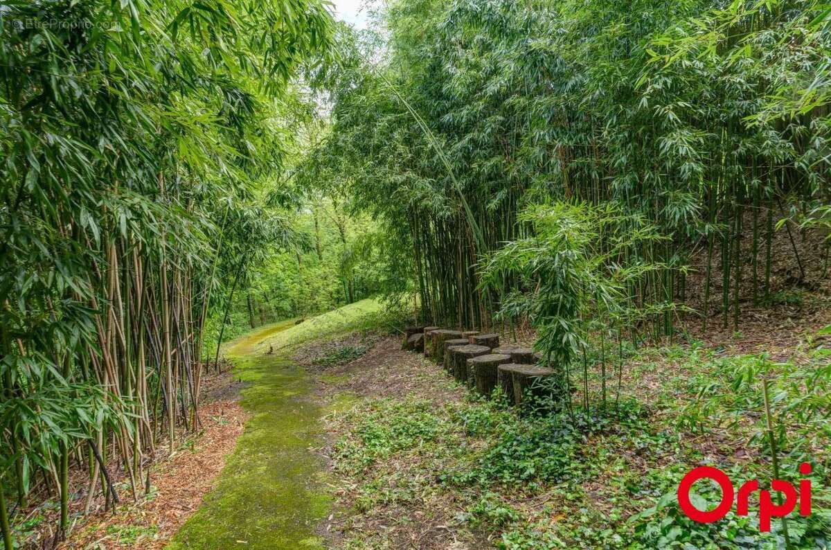 Appartement à CALUIRE-ET-CUIRE