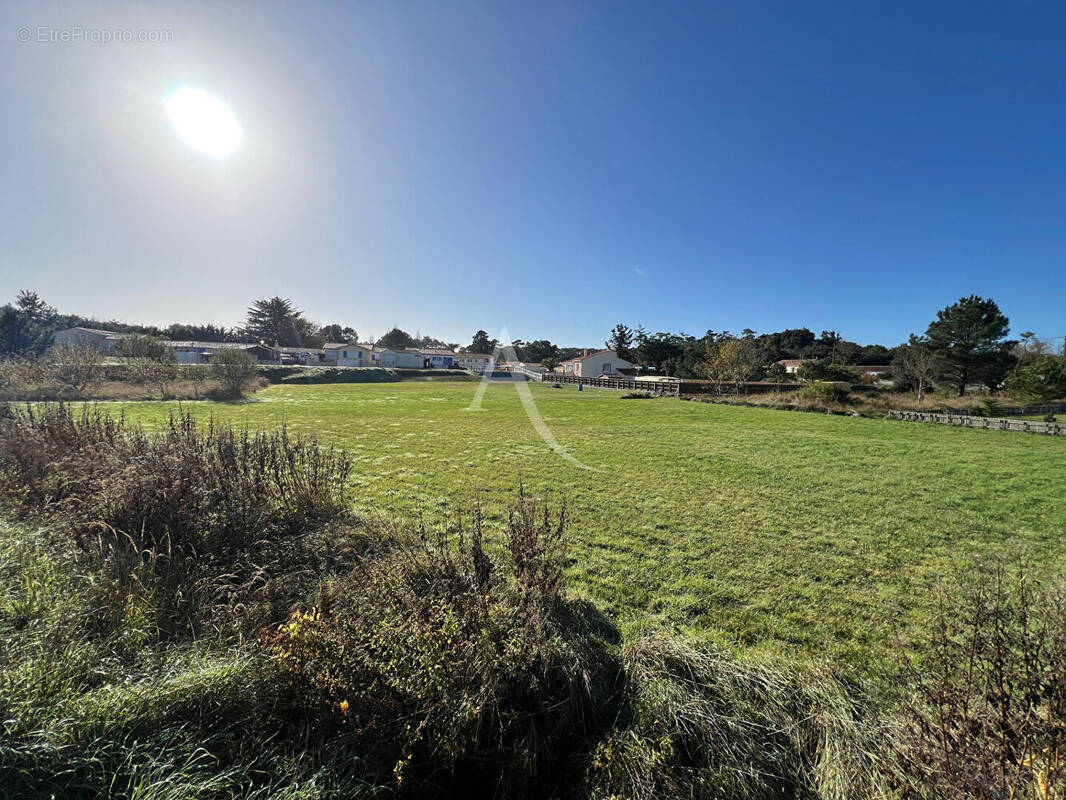 Terrain à LONGEVILLE-SUR-MER