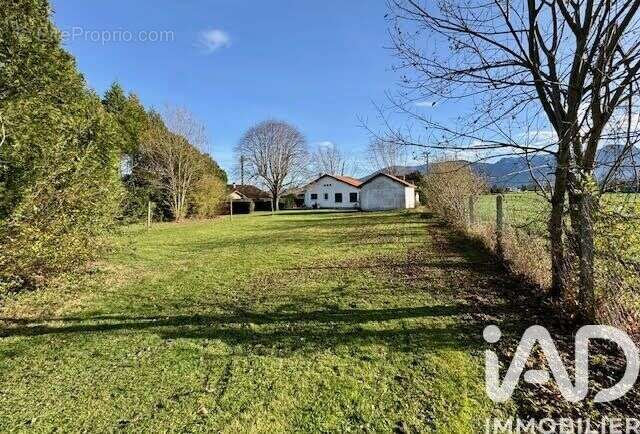 Photo 7 - Maison à ASSON