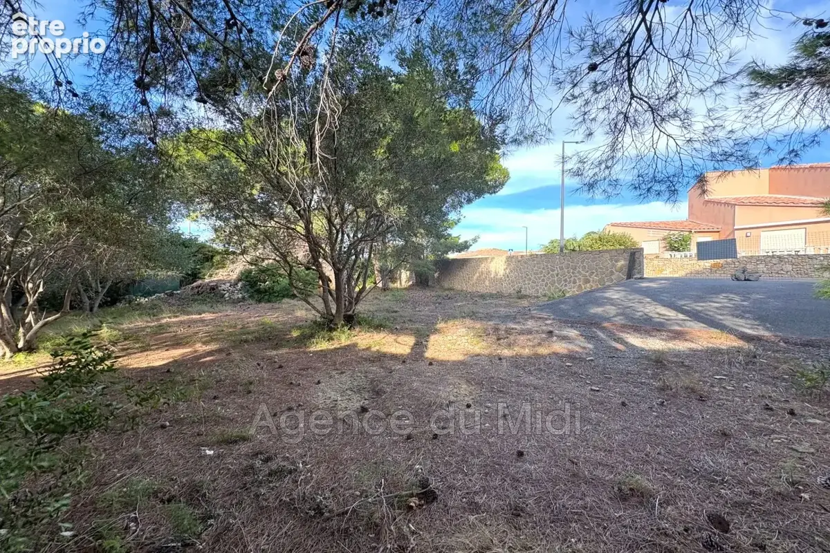 Terrain 702 m² à vendre à Leucate (11370) - photo 3