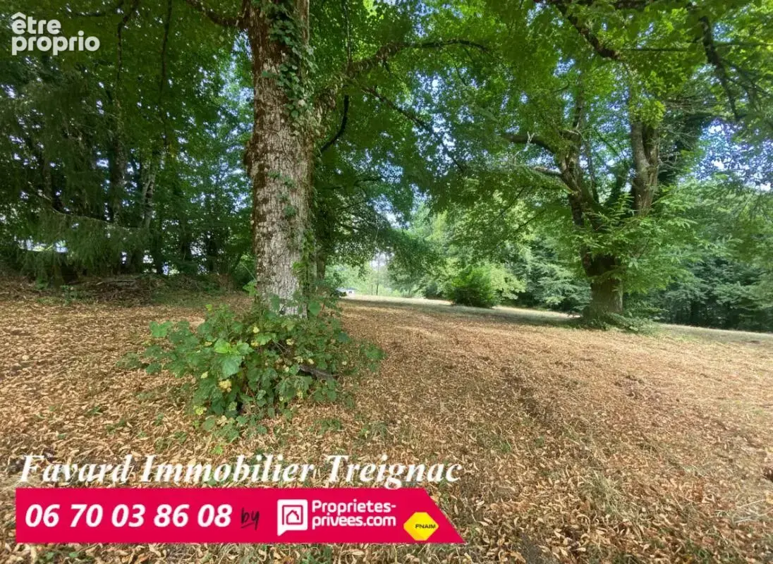 Terrain à TREIGNAC