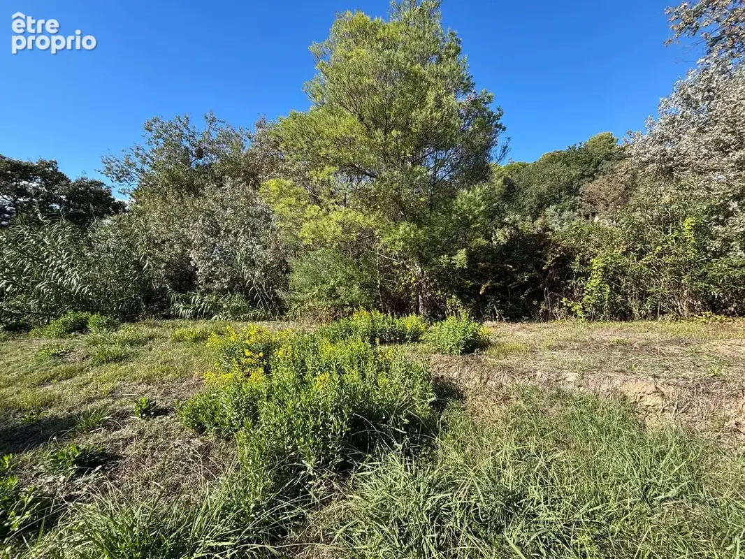 La roquette sur siagne terrain constructible 735 m2 - photo 3