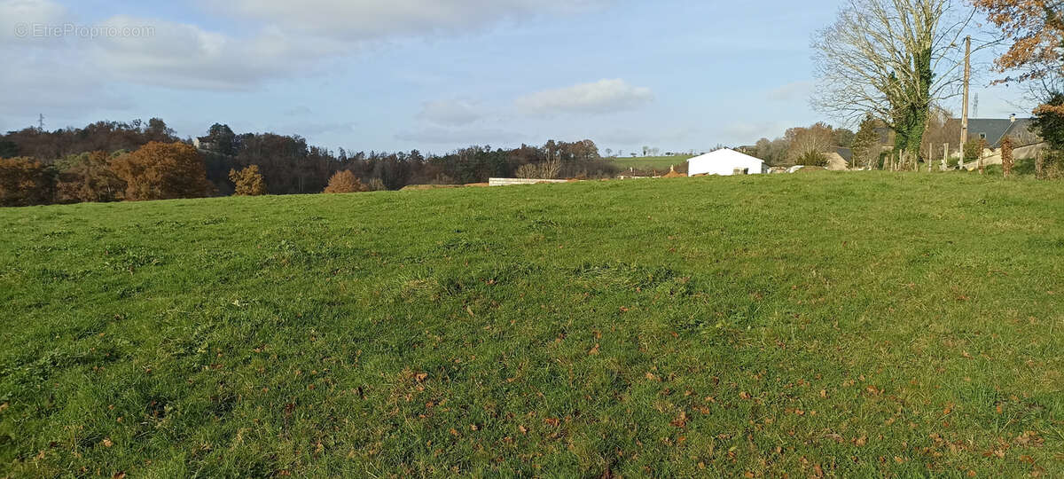Terrain à DAMPNIAT