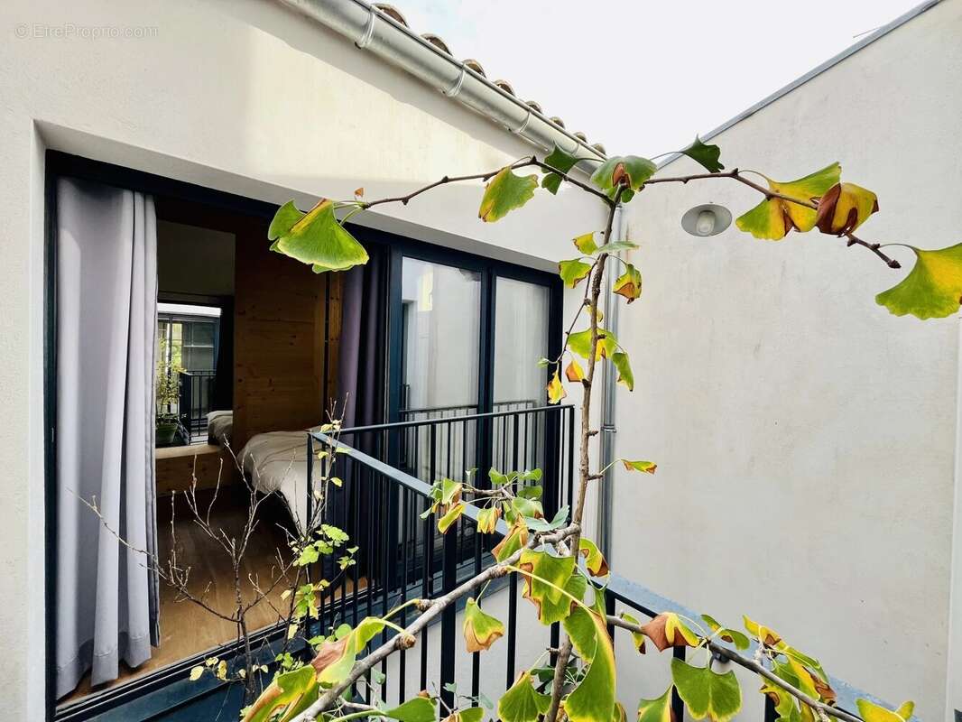 Maison à MONTPELLIER