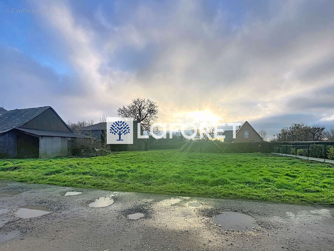 Terrain à BUCHY