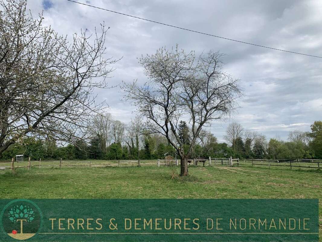 Maison à CAPELLE-LES-GRANDS