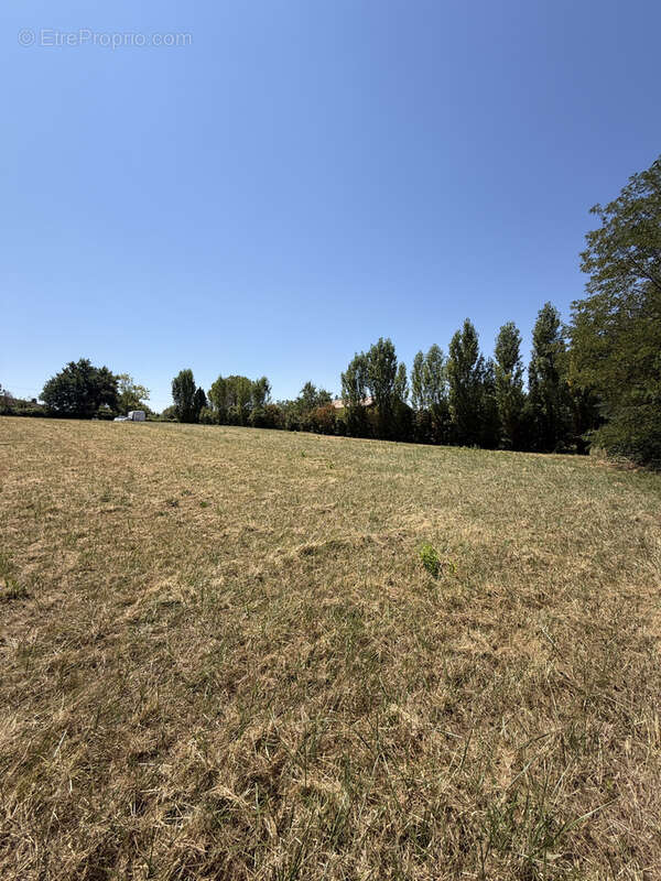 Terrain 2019M2 - photo 2