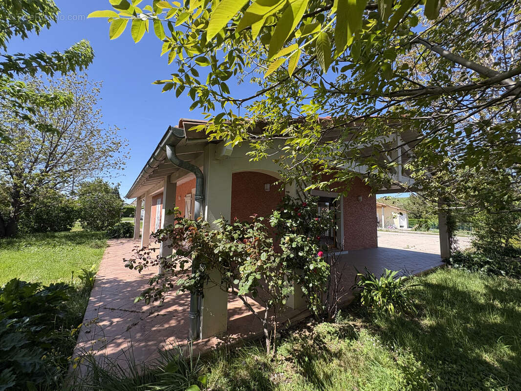 Maison à MONTESQUIEU-VOLVESTRE