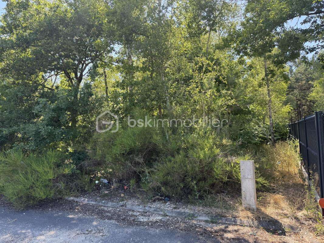Terrain de 1646 m² - photo 3