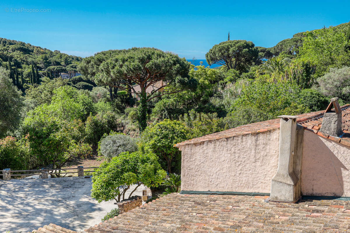 Autre à RAMATUELLE
