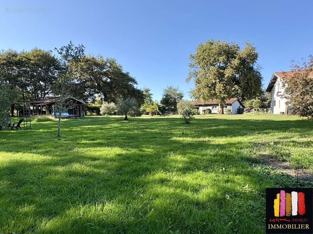 Maison à SAINT-PAUL-EN-BORN