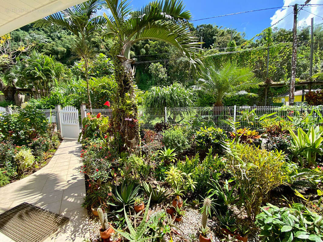 Maison à LE VAUCLIN