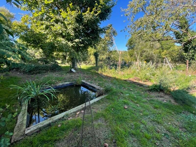 Maison à SAINTE-FEYRE