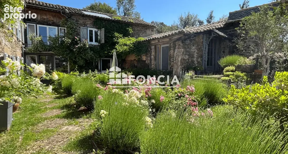 PAMPELONNE Propriété de caractère - photo 6
