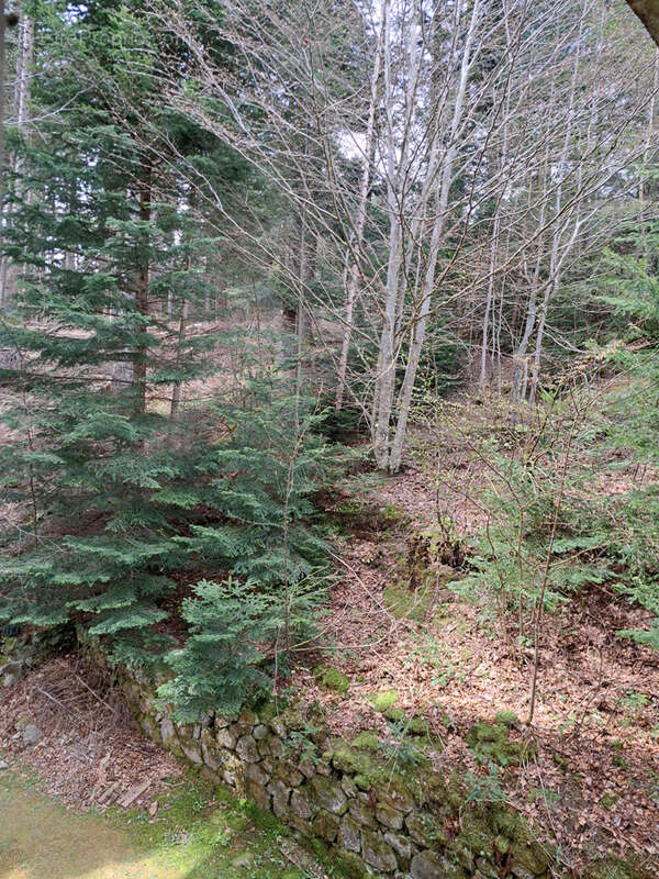 Maison à LE CHAMBON-SUR-LIGNON