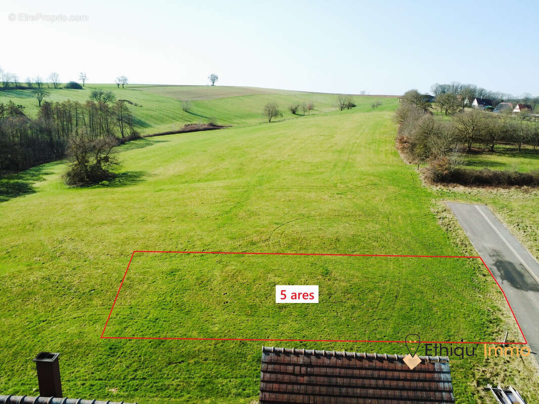 Terrain à BISCHHOLTZ