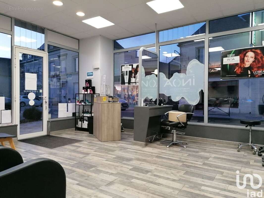 Photo 5 - Commerce à CHOUZE-SUR-LOIRE