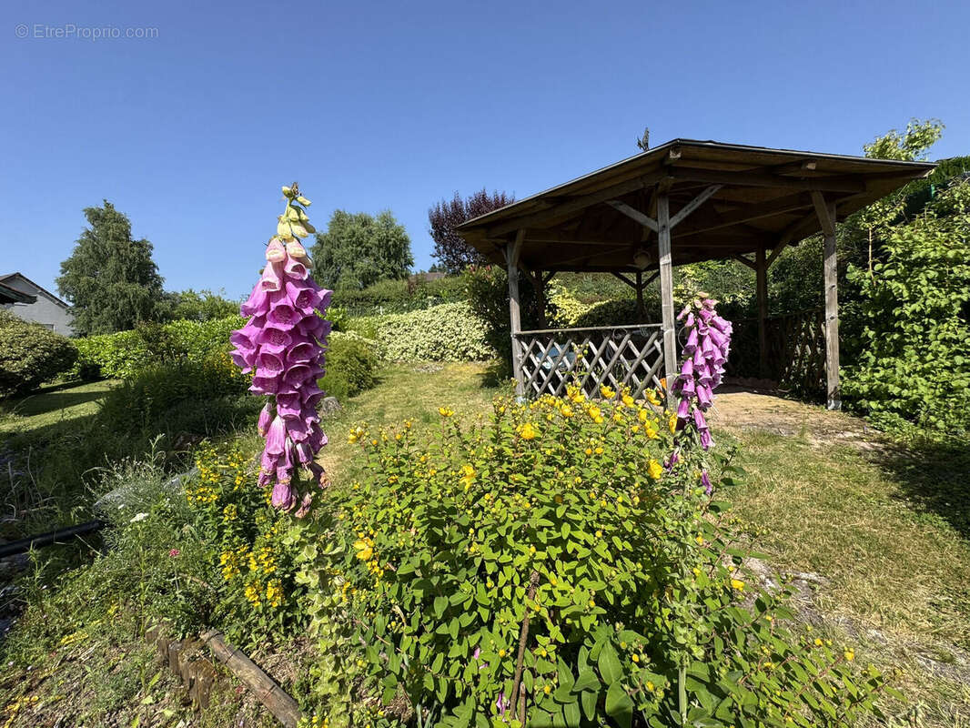 Photo 3 - Maison à BELMONT-DE-LA-LOIRE