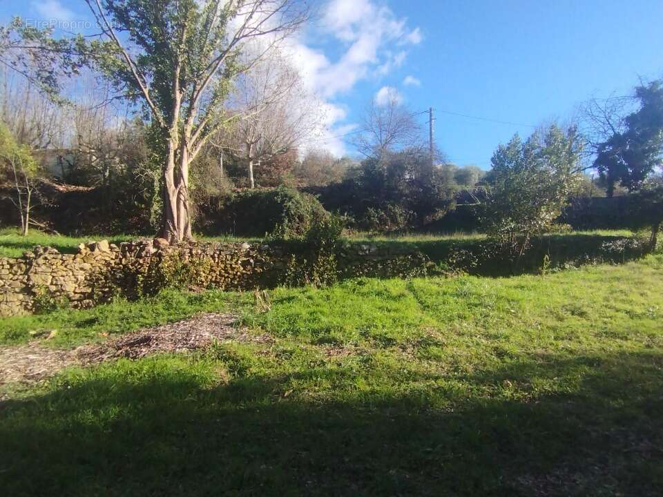Terrain à SALAVAS