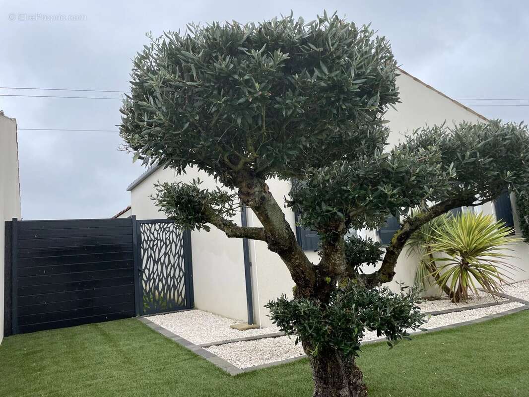 Maison à AIGREFEUILLE-D&#039;AUNIS