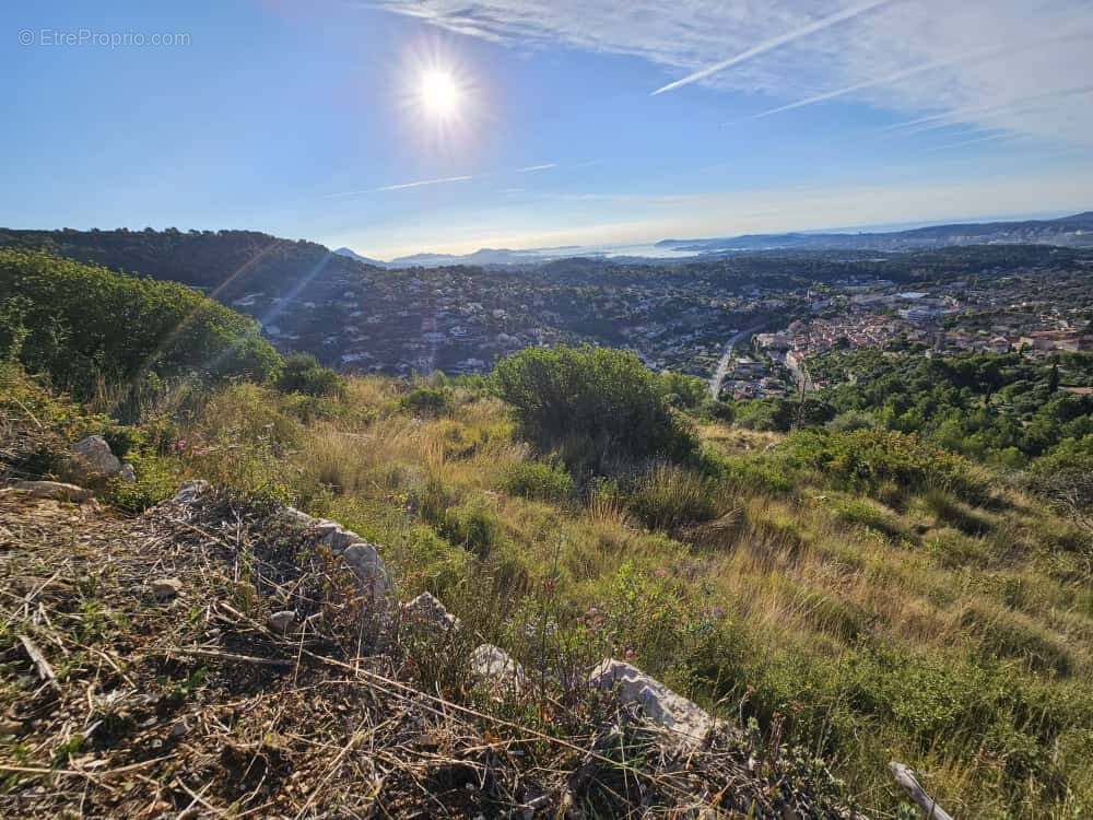Terrain à OLLIOULES