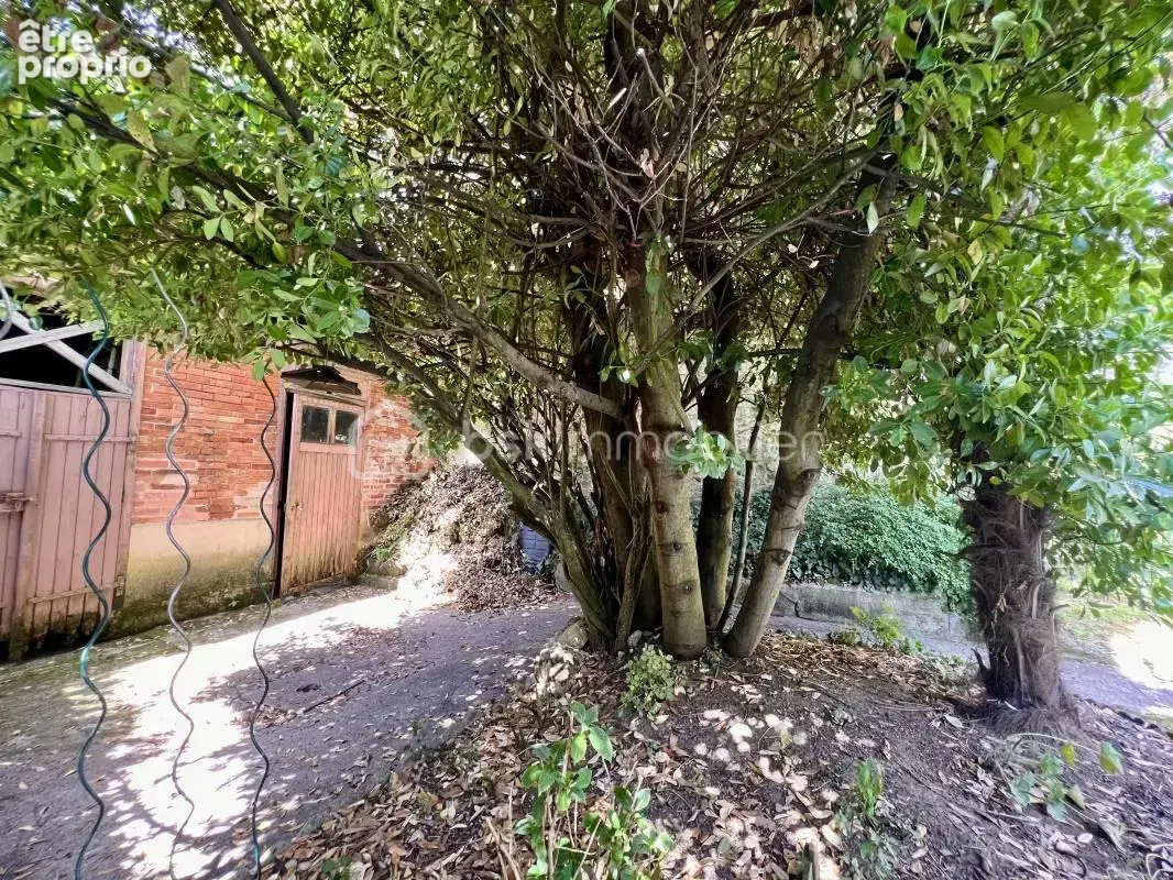 Exceptionnel ! Centre ville Poitiers. Appartement 2 chambres. Jardin - photo 15