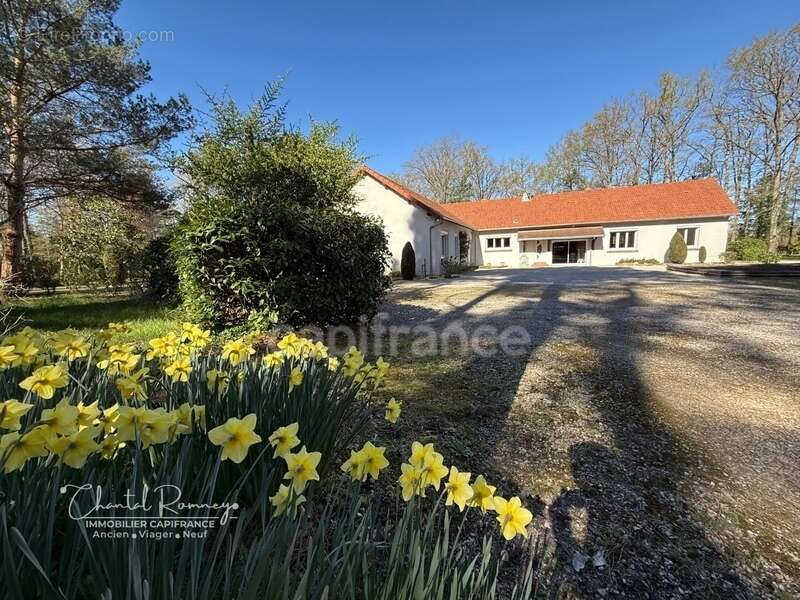 Maison à ROMORANTIN-LANTHENAY