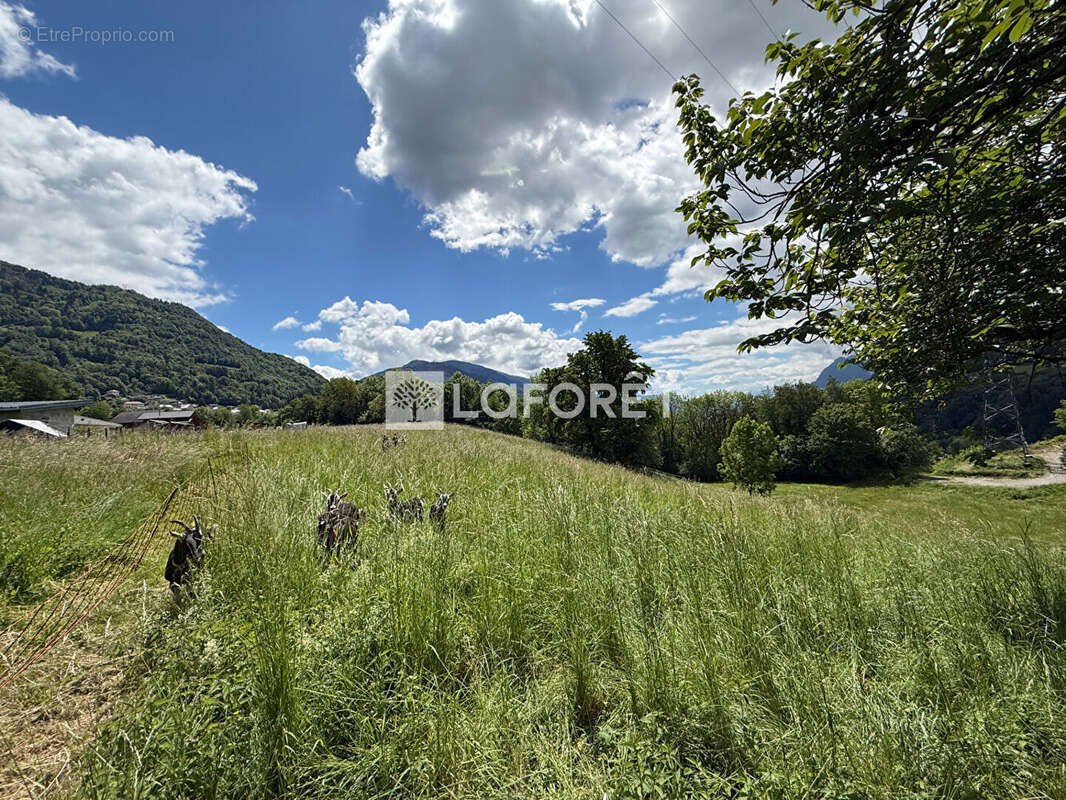 Terrain à CESARCHES