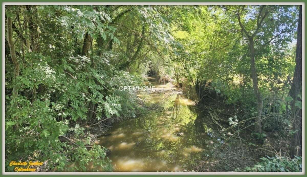 moulin à rénover avec dépendances et plus de 1,5 ha de terrain - photo 7